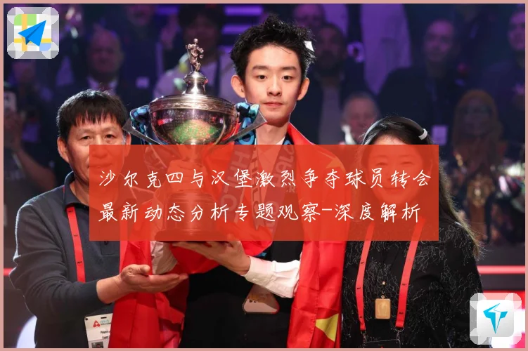 沙尔克四与汉堡激烈争夺球员转会最新动态分析专题观察-深度解析